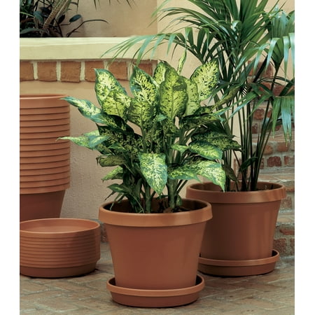 Bloem Terra Pot Planter 10