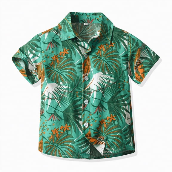 Larisalt Toddler Baby Boys Summer Clothes Short Sleeve Print Button-Down Shirt Kids Boys Beach Clothing
