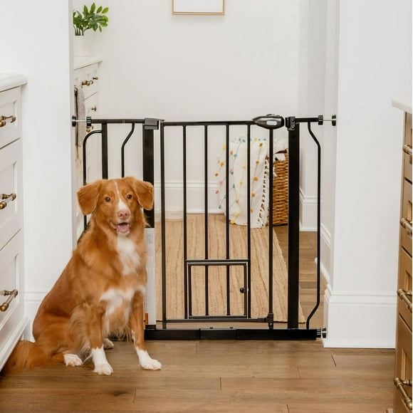 Carlson Extra Wide Walk Through Pet Gate with Small Pet Door, Includes 4-Inch Extension Kit, Pressure Mount Kit and Wall Mount Kit, Black
