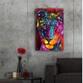 thumbnail image 6 of Epic Art 'Young Lion' by Dean Russo, Acrylic Glass Wall Art, 24"x36", 6 of 8