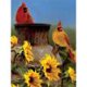 thumbnail image 1 of Cuadros Decorativos Kit de diamantes de imitación de taladro redondo completo de pájaro de girasol de pintura de diamante (A4073) Likrtyny embutido en tela, 1 of 9