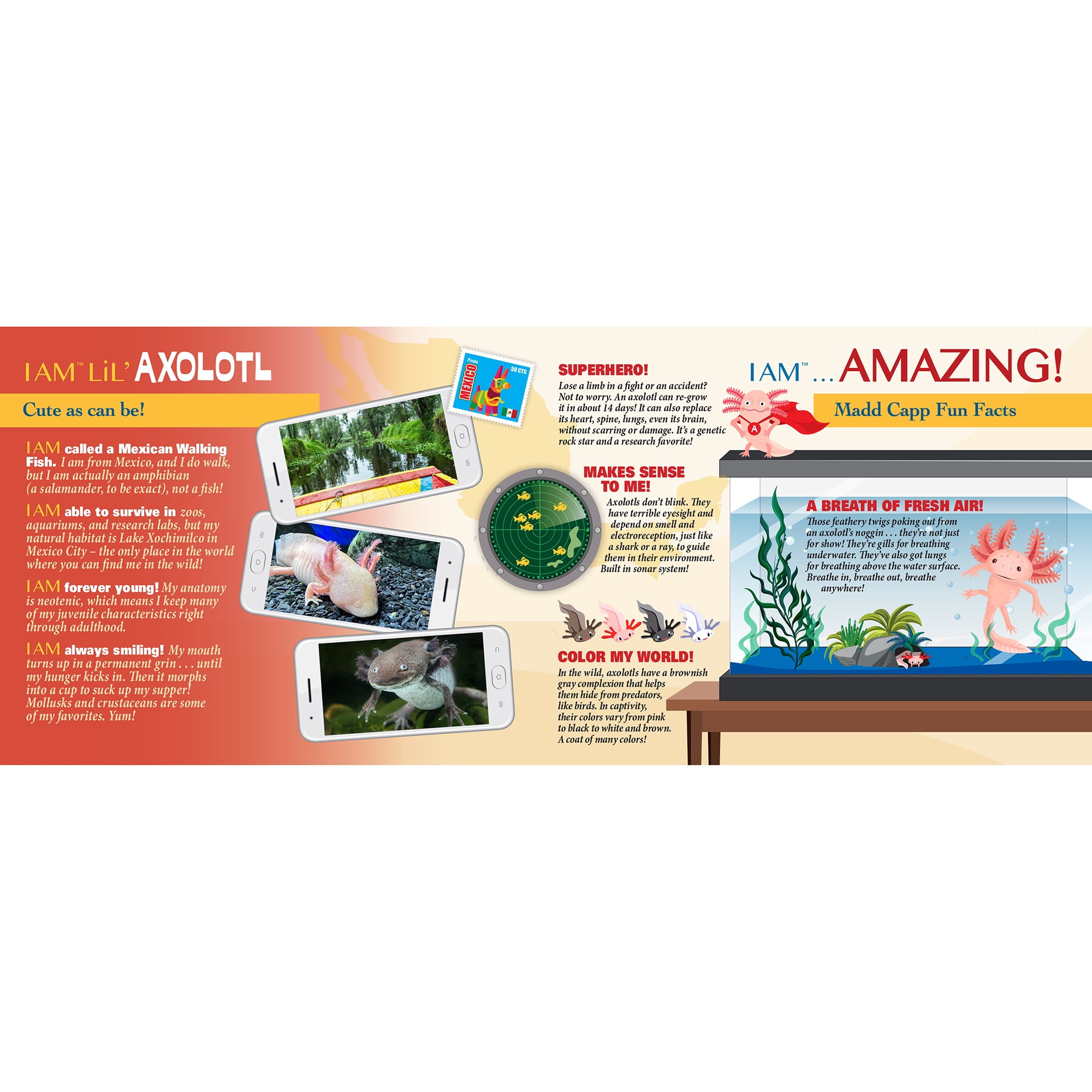 I Am LiL' Axolotl Jigsaw Puzzle, 100 Pieces
