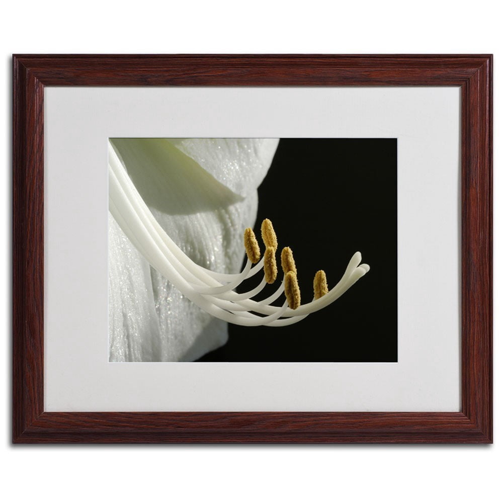 Kurt Shaffer 'Intimate Amaryllis' Matted Framed Art - 16x20 Inches - Wood Frame (KS16-W1620MF)