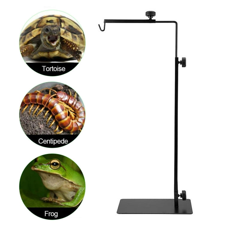 Tortoise top lamp stand