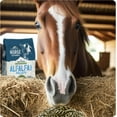 thumbnail image 5 of Blue Mountain High Altitude Horse Hay Pellets  Ultra Premium Alfalfa, Timothy, Orchard, Teff Hay  Nutrient Dense  Cattle, Sheep, Alpaca, Rabbits 40 LB, Teff Grass, 5 of 5