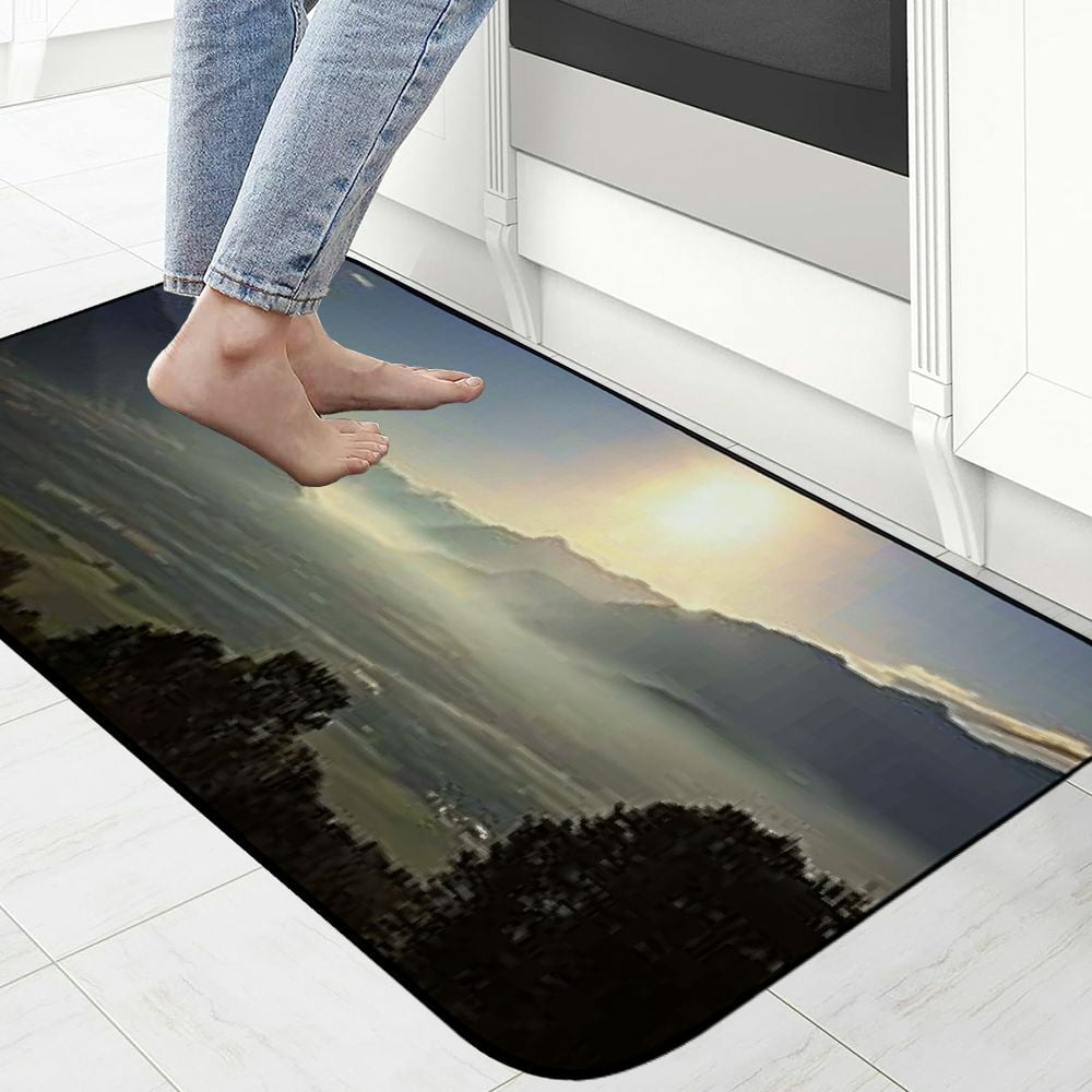 PHYHOO Decorative Door Mat, Door Mat with Non-Slip Rubber Backing, Easy Cleaning, Traps Dirt, Rug for Entry, Patio, Garage - Switzerland Bern Landscape Hiking Mountains Nature 19.68*47.24 in