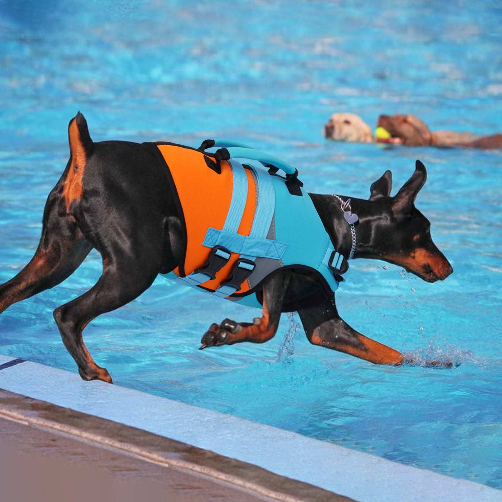 Kuoser Dog Life Jacket with Reflective Strips, Adjustable Life Vest for Small Medium Large Dogs, Blue, XL