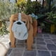 thumbnail image 4 of Cute Dog Planter Plant Pot,animal Flower Planter Pot For Garden Decors Hot, 4 of 5