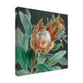 thumbnail image 2 of Danhui Nai 'Deep Tropical Protea Crop' Canvas Art, 2 of 4