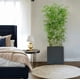 thumbnail image 4 of Bambu Aspecto Natural Con Maceta 2 Mts De Alto Cg Hunter, 4 of 4
