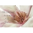 thumbnail image 2 of Poinski, Dianne 32x23 White Modern Wood Framed Museum Art Print Titled - Be Still Magnolia, 2 of 4