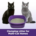 ARM & HAMMER Clump & Seal SLIDE Cat Litter, Easy Cleanup MultiCat