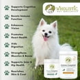 Wholistic Pet Organics Multivitamin for Dogs Organic, Homemade Dog