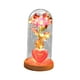 thumbnail image 4 of Rosa preservada para siempre en cristal con decoración de corazón ligero, funciona con pilas, regalo de San Valentín para mamá, hija, abuela , Rosa Rosa rosada, 4 of 8