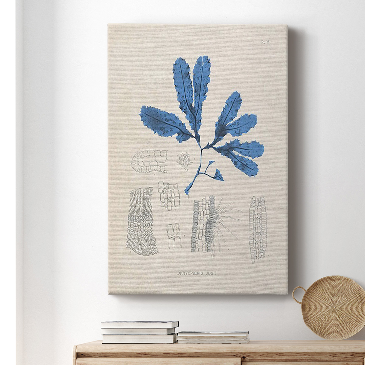 Blue Marine Algae VII Premium Gallery Wrapped Canvas - Ready to Hang