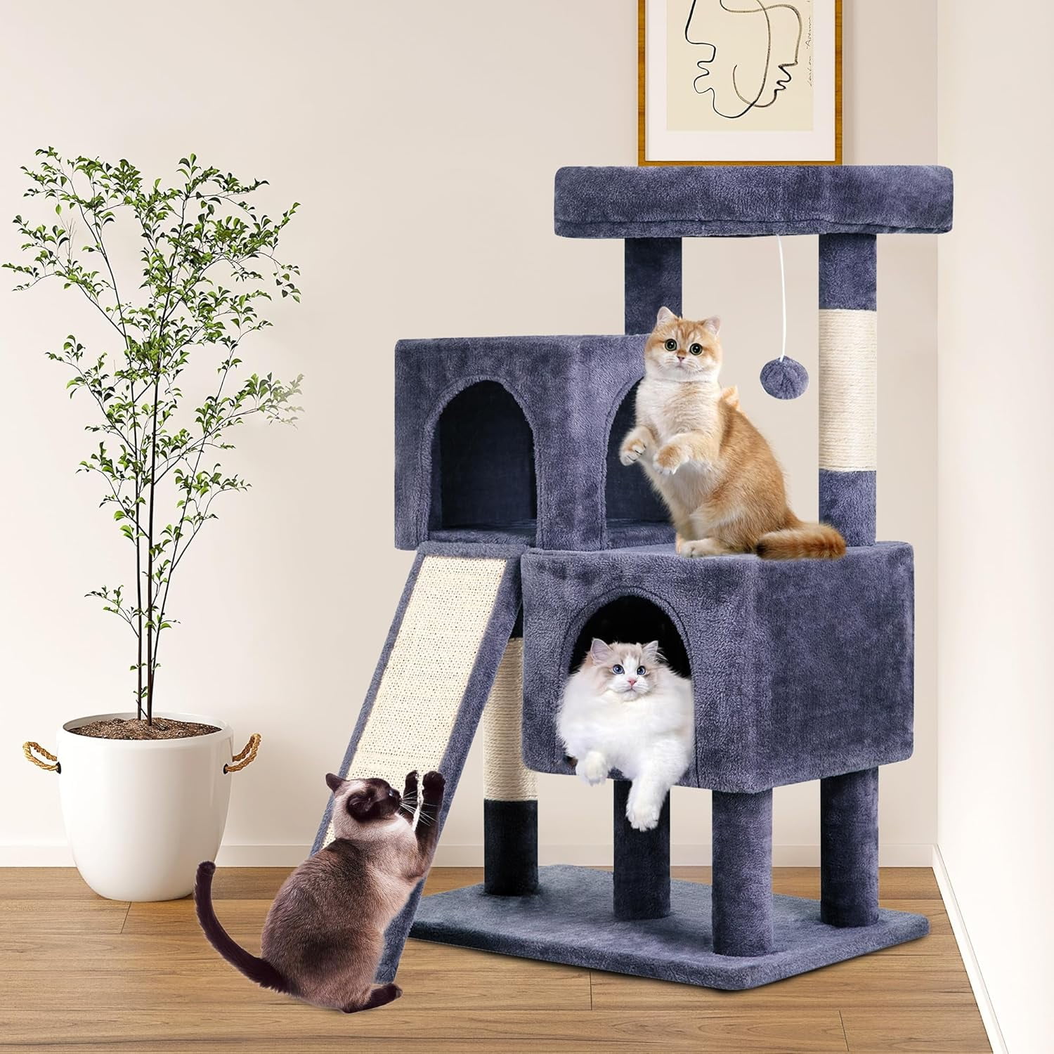 FDW Cat Tree for Indoor Cats 36" Cat Tower Multi-Level Indoor Cat Play Condo House with Scratching Posts, Spacious Perch,Dark Grey