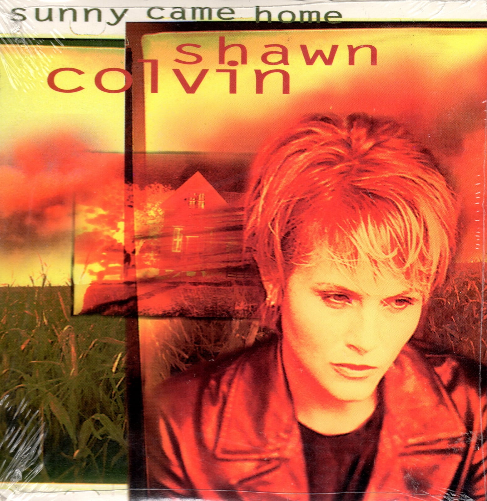 Sunny Came Home Shawn Colvin