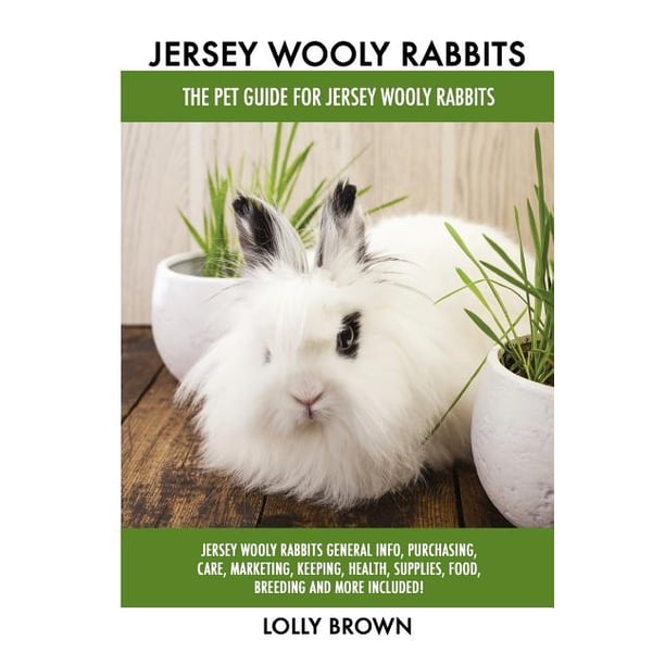 Jersey Wooly Rabbits Jersey Wooly Rabbits General Info, Purchasing
