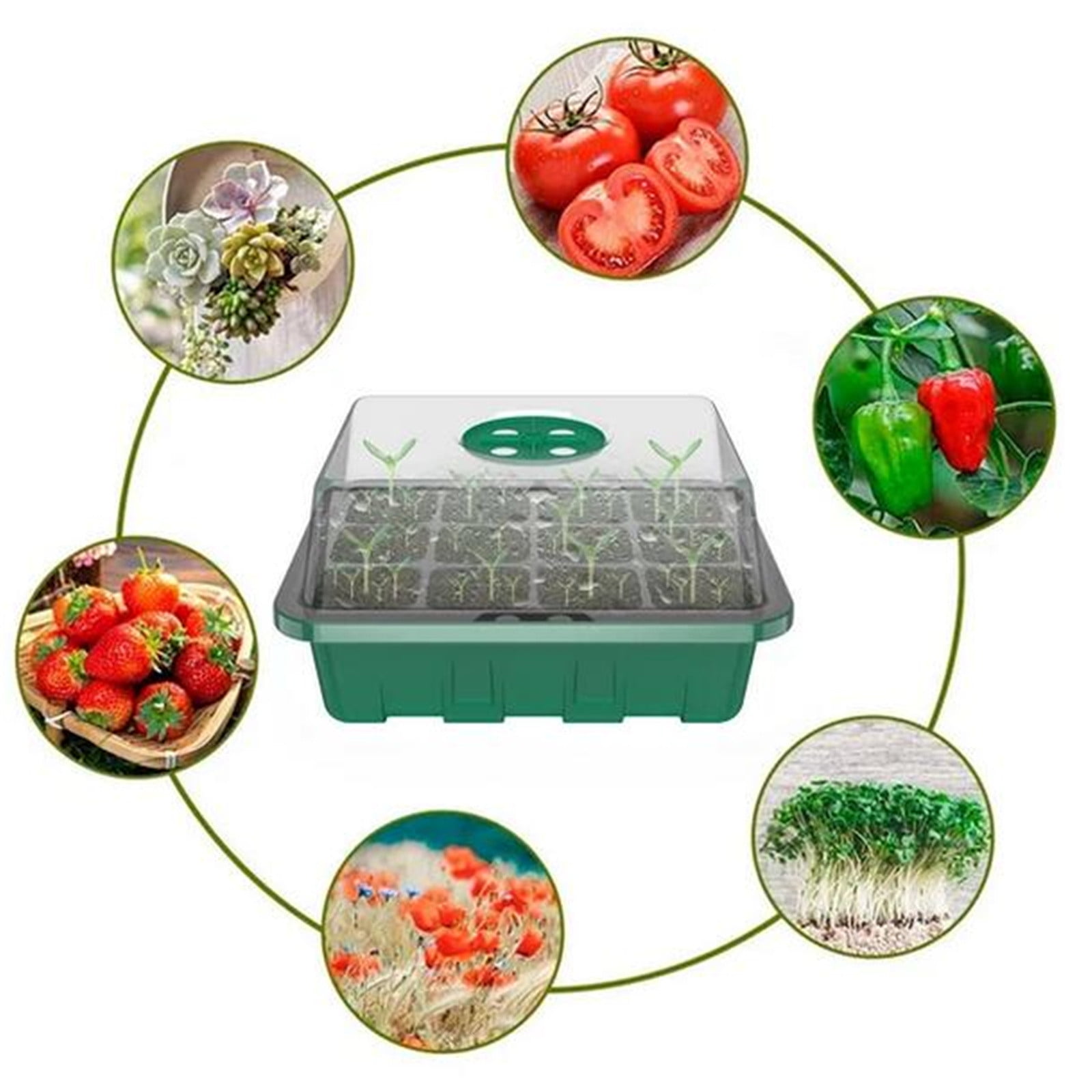 Herrnalise Seedling Trays Seed Starter Tray With Plant Grow Light, 5 PACK Mini Propagator Plant Grow Kit Greenhouse with Humidity Vented Domes and Base for Seeds' Starting (14 Cells Per Tray)