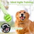 thumbnail image 5 of LINFANG 2 Pcs Dog Rope Toys Interactive Dog Bungee Toy with Chewing Rope for Most Dogs Multipurpose Pet Accessories for Indoor and Outdoor Activities, 5 of 8