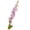 C, variant on MKHSQHDG Today's Deals 2 Pcs Multicolor Silk Spray Larkspur Long for Wedding Bouquet Home Garden Centerpiece