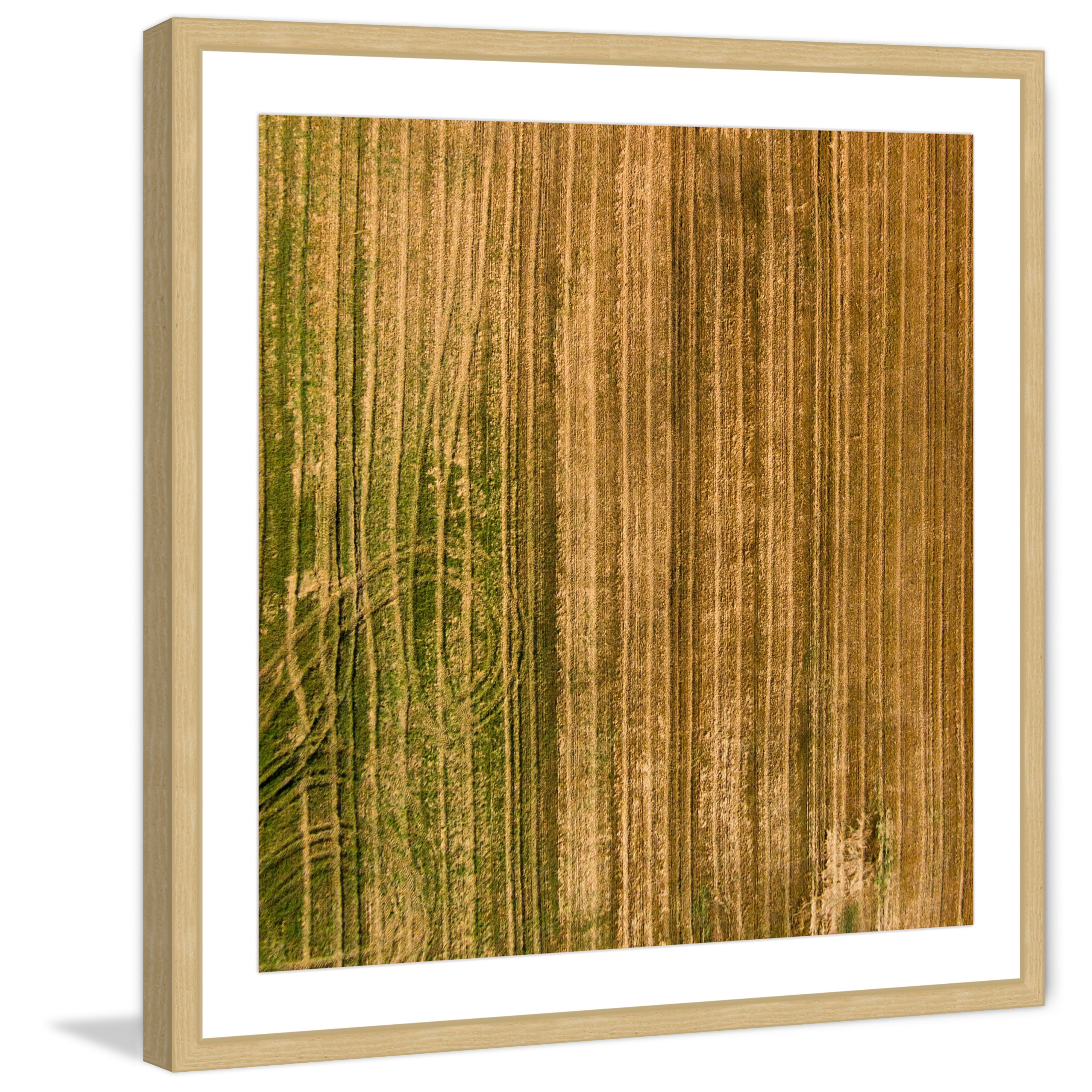 Marmont Hill "Crop Trails" by Karolis Janulis Framed Painting Print