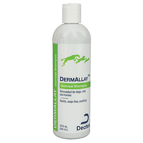 DermAllay Shampoo 12 oz