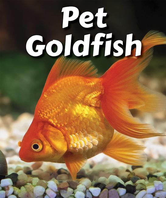 Pet Goldfish
