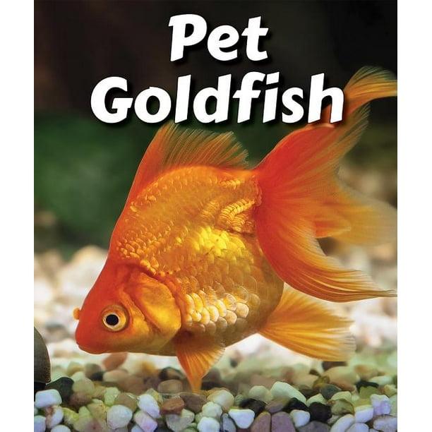 Pet Goldfish