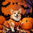 thumbnail image 5 of Halloween Pumpkin Dog Pajamas, Funny Dog Winter Clothes for Small Dogs Girl Boy, Pet Jumpsuit, Cat Halloween Costumes with Feet, 5 of 7