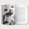thumbnail image 4 of Libro Nada detiene a las golondrinas Libros juveniles Cuento Ediciones El Naranjo Libro de Texto, 4 of 7