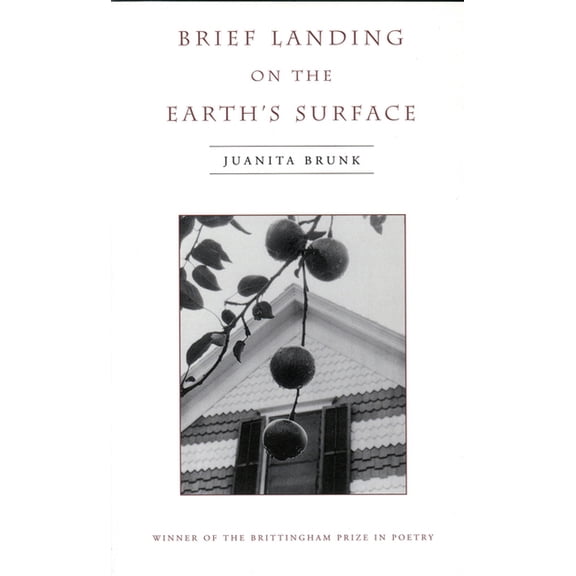 Wisconsin Poetry Brief Landing on the Earth's Surface: Volume 1996, (Paperback)