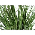 thumbnail image 4 of Indoor Plants Artificial Plant, 23" Tall, Grass, Indoor, Faux, Fake, Table, Greenery, Potted, Real Touch, Decorative, Green Grass, Black Pot,Artificial Flowers, 4 of 5