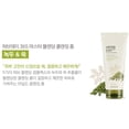thumbnail image 2 of The Face Shop Herb Day 365 Master Blending Foaming Cleanser Mung Bean & Mugwort, 5.7 fl oz, 2 of 2