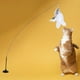 thumbnail image 5 of Gato Teaser Toys PEABLE INTERACTIVA ADSORBABLE para LA Zulema Juguetes para gatos interactivos, 5 of 7