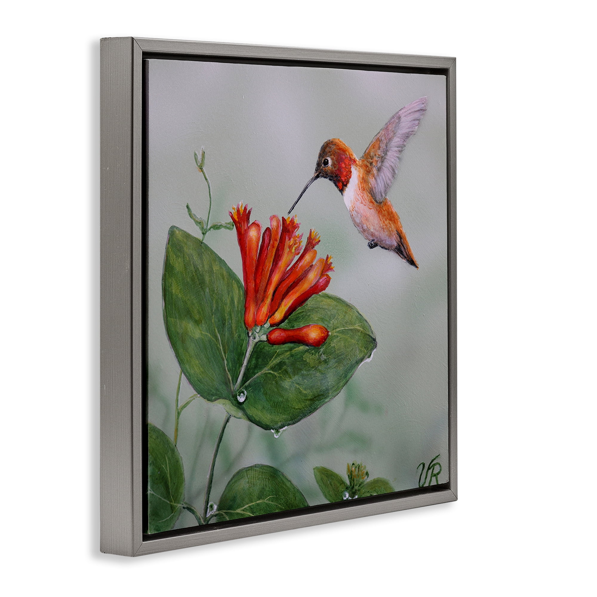 Stupell Industries Red Hummingbird & Flower Animals Painting Gray Floater Framed Canvas Art Print Wall Art, 25 x 25
