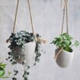 thumbnail image 2 of Kearding Florero de plantas con tecnología cultivable en agua Forma de escaparate Verde pequeño Maceta de impermeabilización interna blanca Type2 NO2, 2 of 6