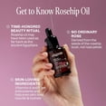 thumbnail image 3 of Cliganic Rosehip Oil, USDA Certified Organic Skin Care Face Serum and Body Oil, Cold-Pressed, 1 fl oz, 3 of 7