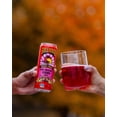 thumbnail image 2 of Bollygood Sparkling Lemon Pomegranate Cardamom Beverage Non-GMO 12oz Can, 2 of 5