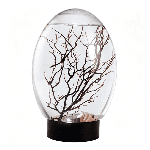 ACDANC Ecosystem, Mini Aquarium Fish Tank Closed Aquatic Ecosystem with Led Light Desktop Aquarium Stable Black Base No Need to Feed Or Change Water