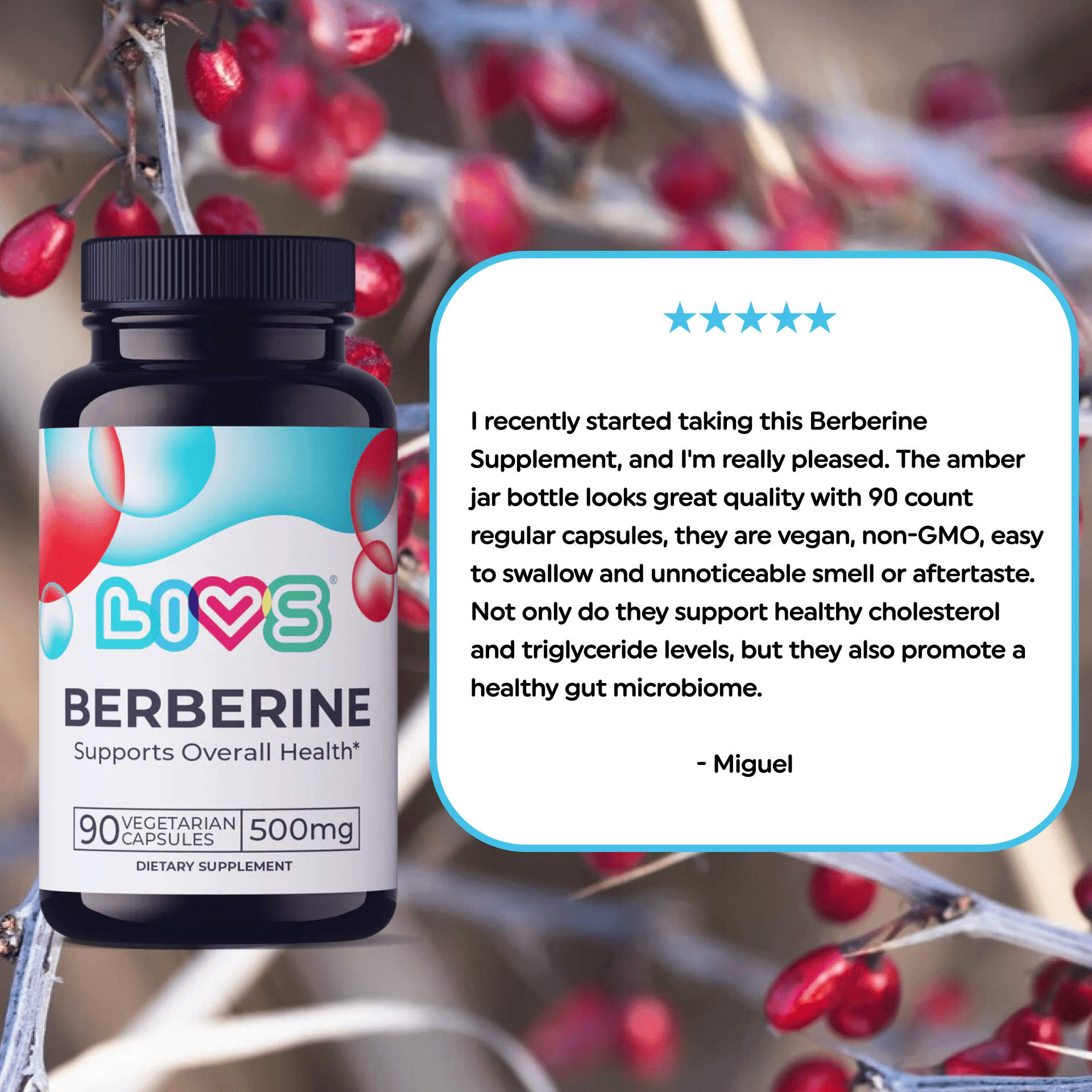 LIVS Berberine Capsules 500mg – Cholesterol, Triglyceride & Gut Health Support, Vegan Supplement – 90 Count