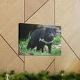 thumbnail image 6 of Majestic Tasmanian Devil Art Majestic Tasmanian Devil Print Animal Wall Art Wildlife Canvas Prints Wall Art Ready to Hang Unframed, 6 of 18