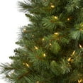 thumbnail image 5 of Nearly Natural Clear Prelit 300 Incandescent Green Holiday Slim West Virginia Mountain Pine Artificial Christmas Tree, with 629 Bendable Branches 6', 5 of 8