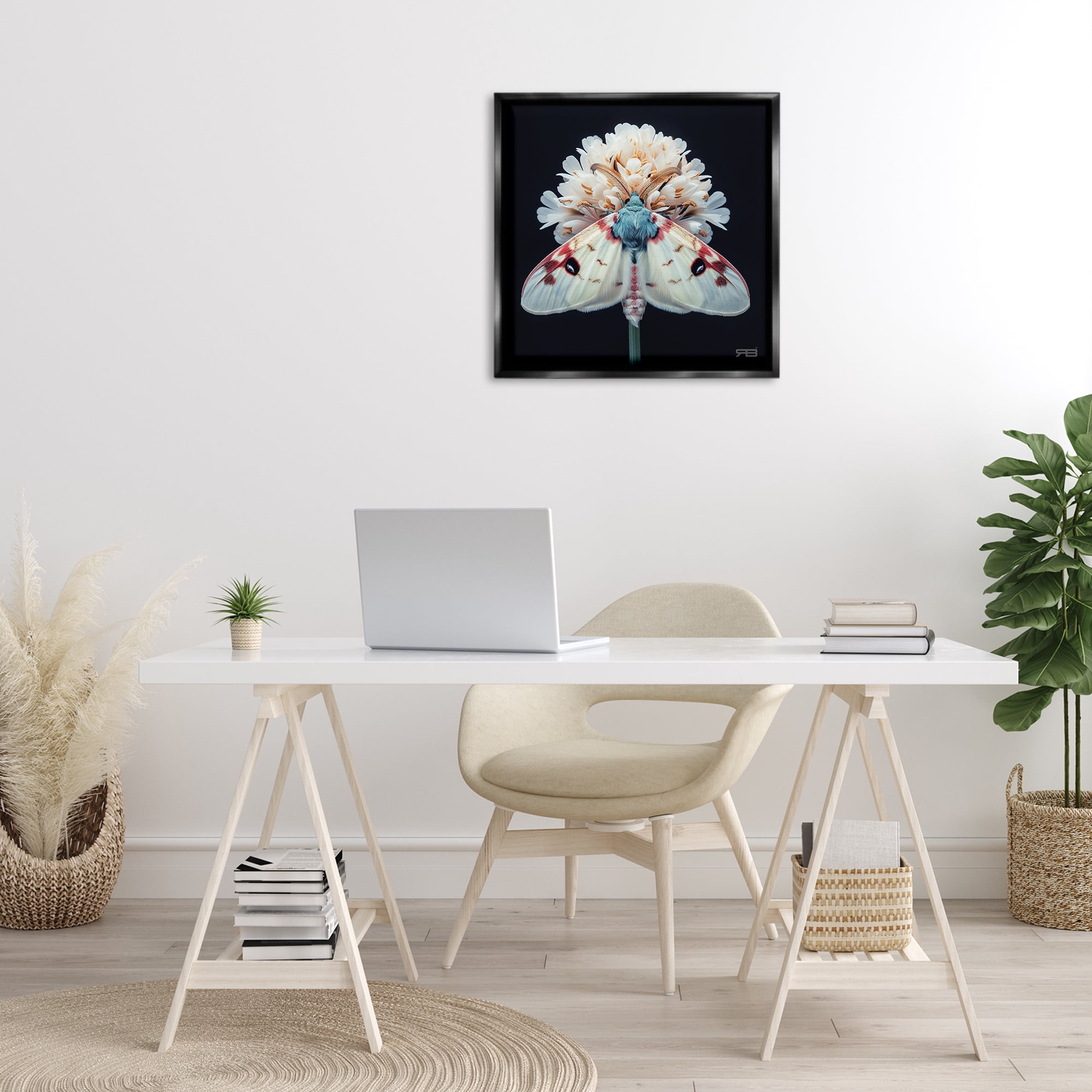 Stupell Industries Moth & White Flowers Animals & Insects Painting Black Floater Framed Canvas Art Print Wall Art, 25 x 25