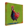 thumbnail image 2 of Trademark Fine Art 'Proud Red I' Canvas Art by Carol Young, 2 of 4