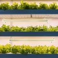 thumbnail image 4 of EIGTHTAIL Grow Light Strip Indoor Plants Grow Lamp Full Spectrum Led Light Daylight Growing Lamp, 4 of 6