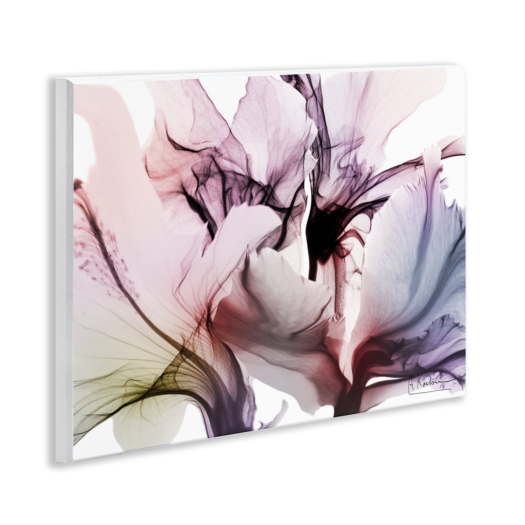 Stupell Industries Brilliant Song Flower Petals Wall Plaque Art, design by Albert Koetsier