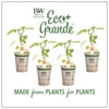 4-Pack, 4.25 in. Eco+Grande, Sweet Petite Orange Pepper Live Plant Vegetable