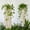 2Pcs Macrame Plant Hanger Under $5 a1, variant on BRELIL Hanging Plant Net Bag, Cotton Rope Plant Hanger Tassel Hanging Basket, Macrame Plant Holder For Indoor Outdoor Balcony Wall Decor