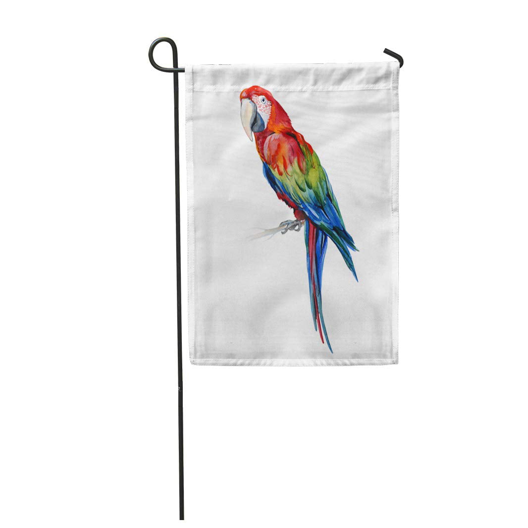 Color macaw Garden Flag Double-sided House Decor Banner 
